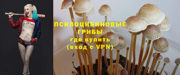 первитин Нягань