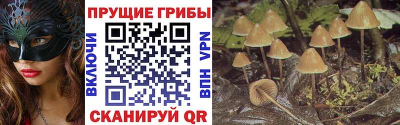 Галлюциногенные грибы мухоморы Холм